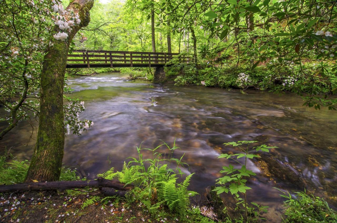 Bear Tracks, 2 Bedrooms, Hot Tub, Fireplace, Wifi, Jetted Tub, Sleeps 6 Gatlinburg Exteriér fotografie